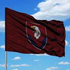 Прапор 234 окремий батальйон логістики 8 ДШК